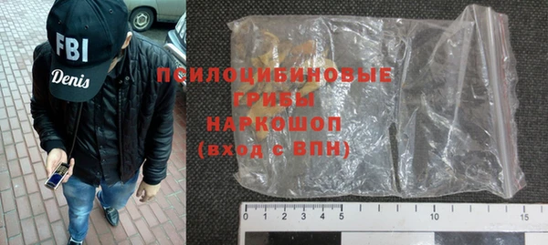 крисы Пересвет