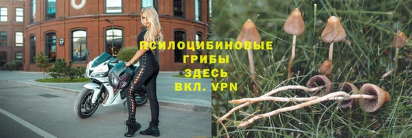 гашик Пестово
