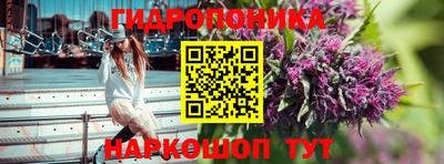 мяу мяу мука Беслан