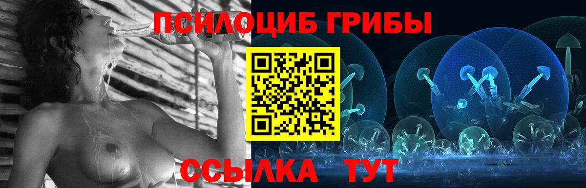 Псилоцибиновые грибы мицелий Бахчисарай