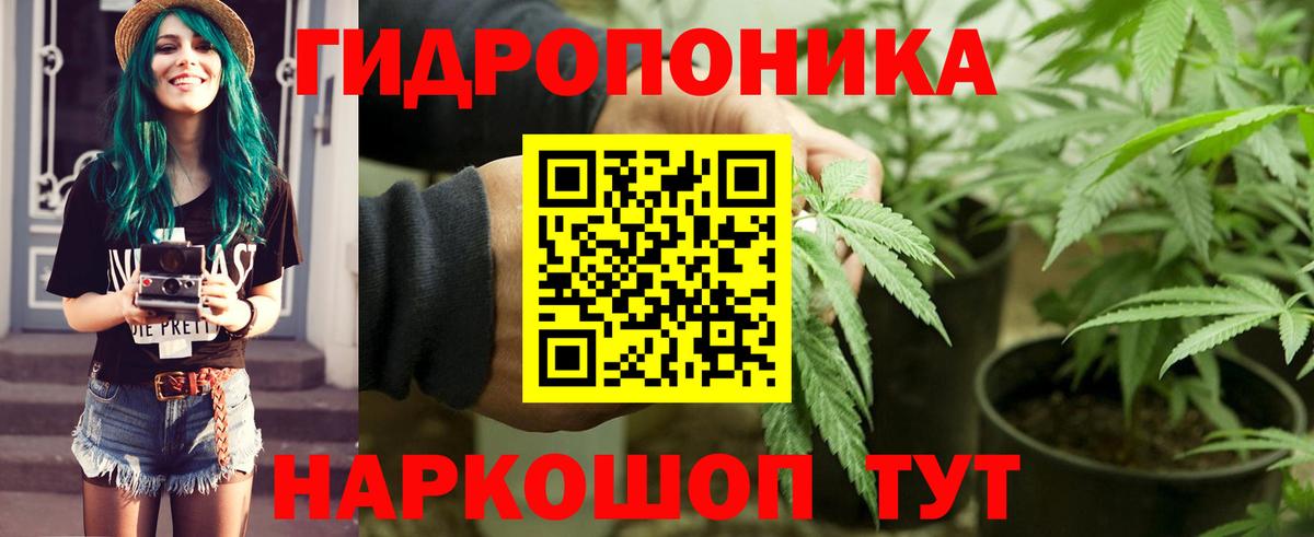 Бошки Шишки тримм  Конопля LSD WEED  Бахчисарай  Марихуана OG Kush 